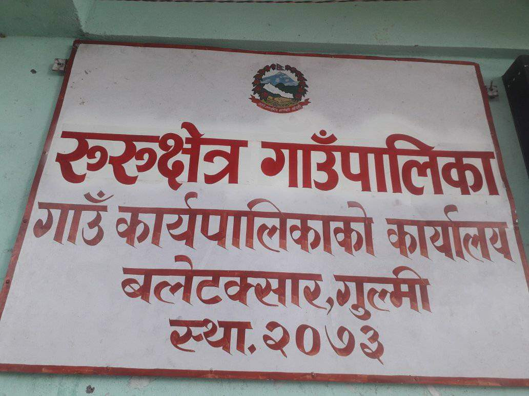गाईजात्रा पर्वको अवसरमा रुरुक्षेत्र गाउँपालिकाले दियो सार्वजनिक बिदा